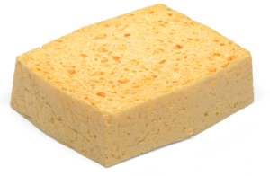 Wash-Down Sponge